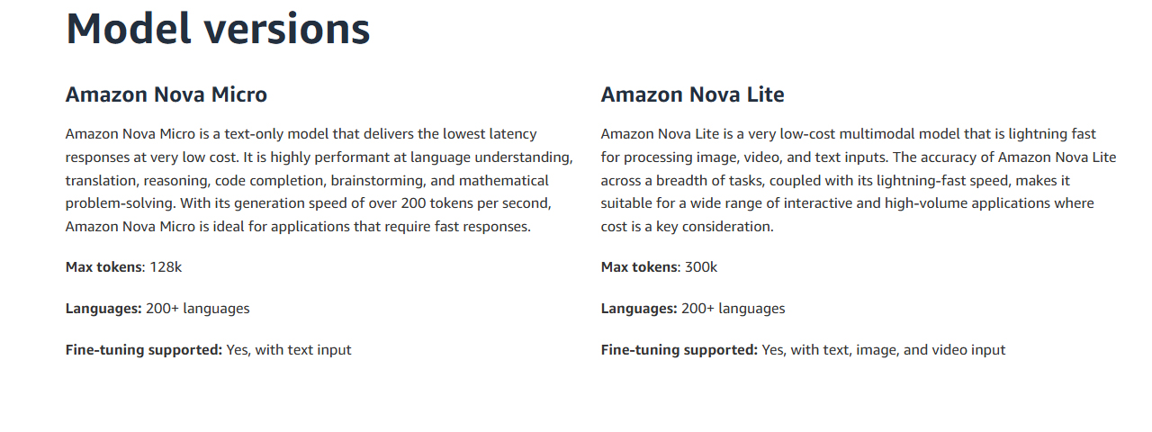 Nova Lite #2